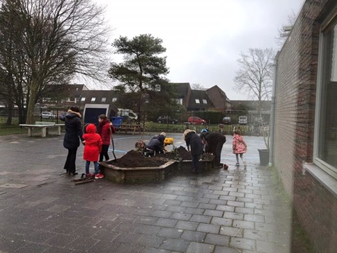 bollen-planten-schoolplein