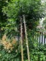 IMG-9948