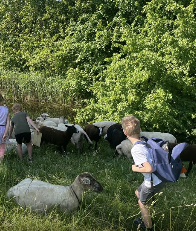 Groep 3-4 naar MAK Blokweer